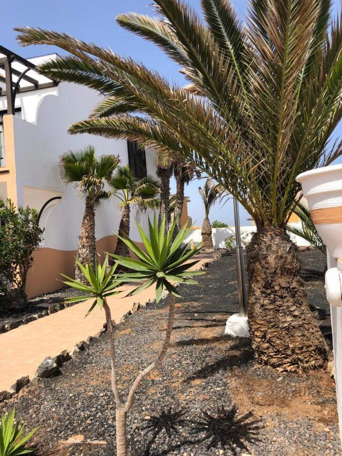 Apartamento Life Complex Amaya Fuerteventura Costa De Antigua Extérieur photo